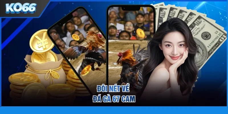 Đôi nét về đá gà 67 cam